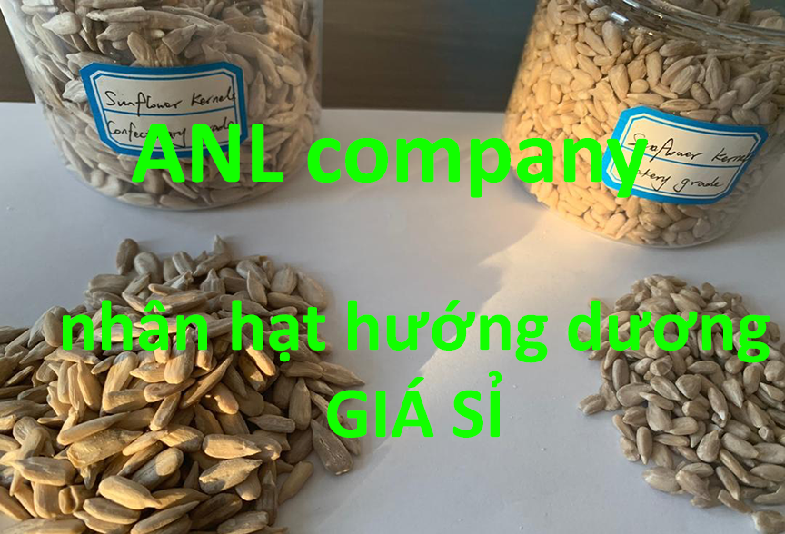 nhân hạt hướng dương được ANL thu mua, nhập khẩu và cung cấp giá sỉ tại Việt Nam. Sản phẩm nhân hướng dương giá sỉ đảm bảo chất lượng tốt, giá thành rẻ