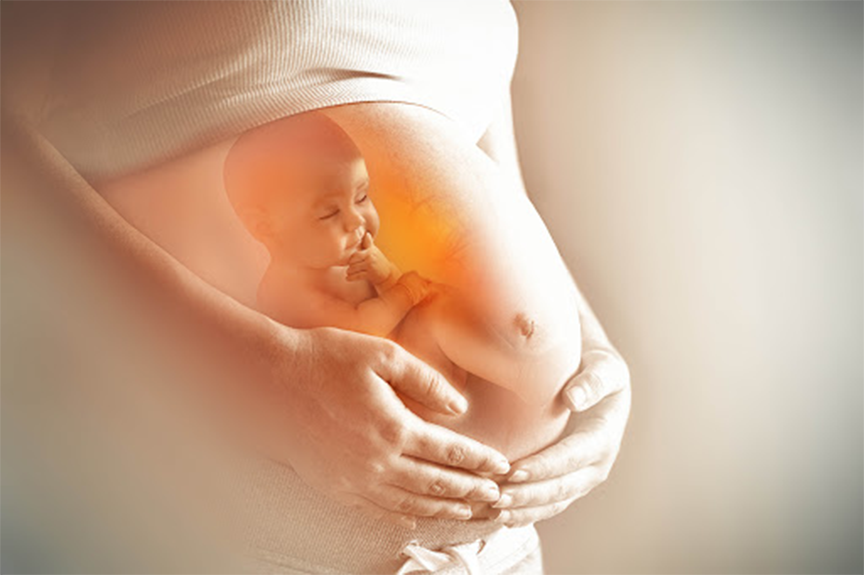 các chất chống oxy hóa trong hạt óc chó giúp bảo vệ mẹ bầu và thai nhi